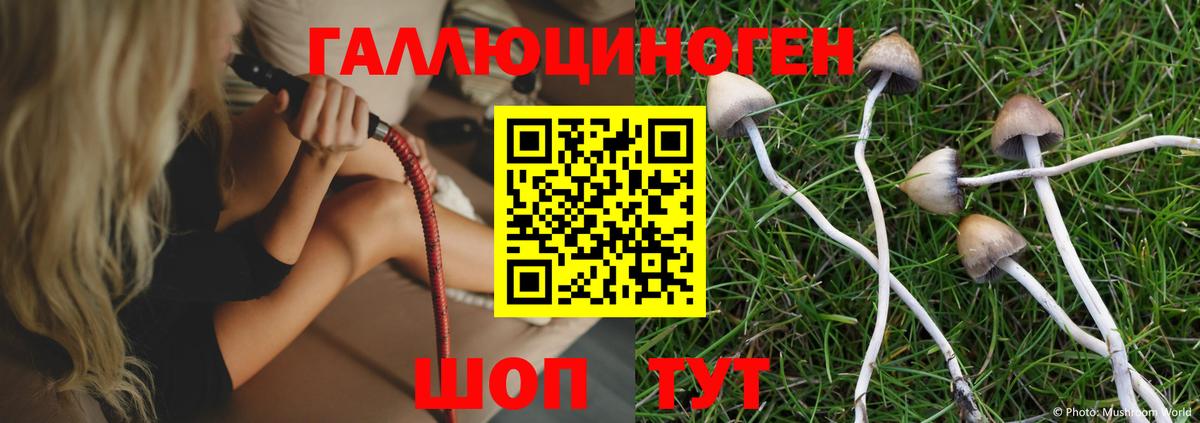 Томск  Псилоцибиновые грибы ЛСД  Псилоцибиновые грибы GOLDEN TEACHER  Вход с VPN 