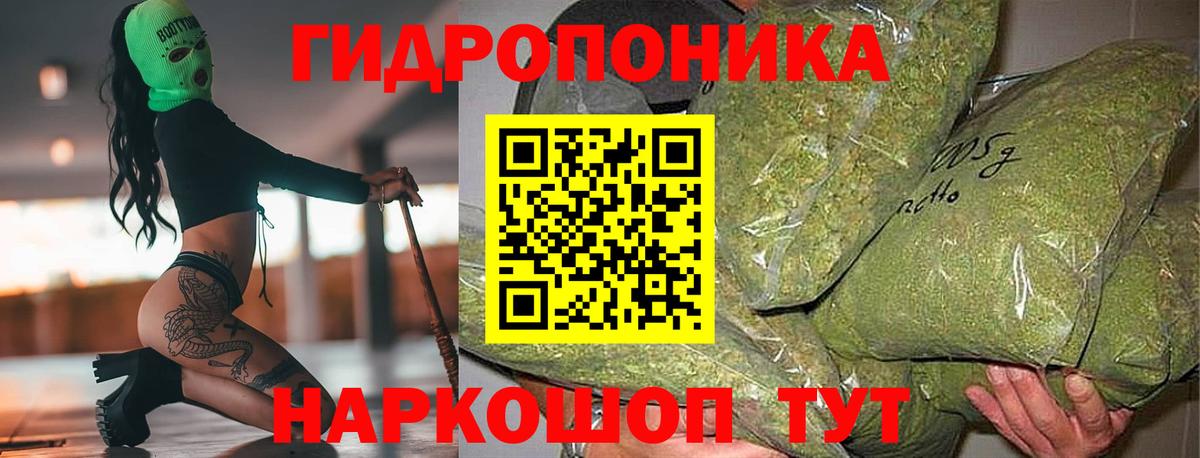 МАРИХУАНА план Томск